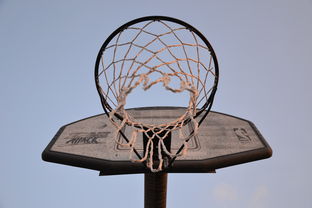 爱游戏官网-NBA联盟与高校篮球合作开发机制研究，大学篮球联盟叫什么